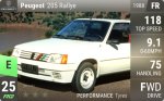 205 Rallye