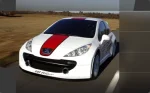 207 RCup